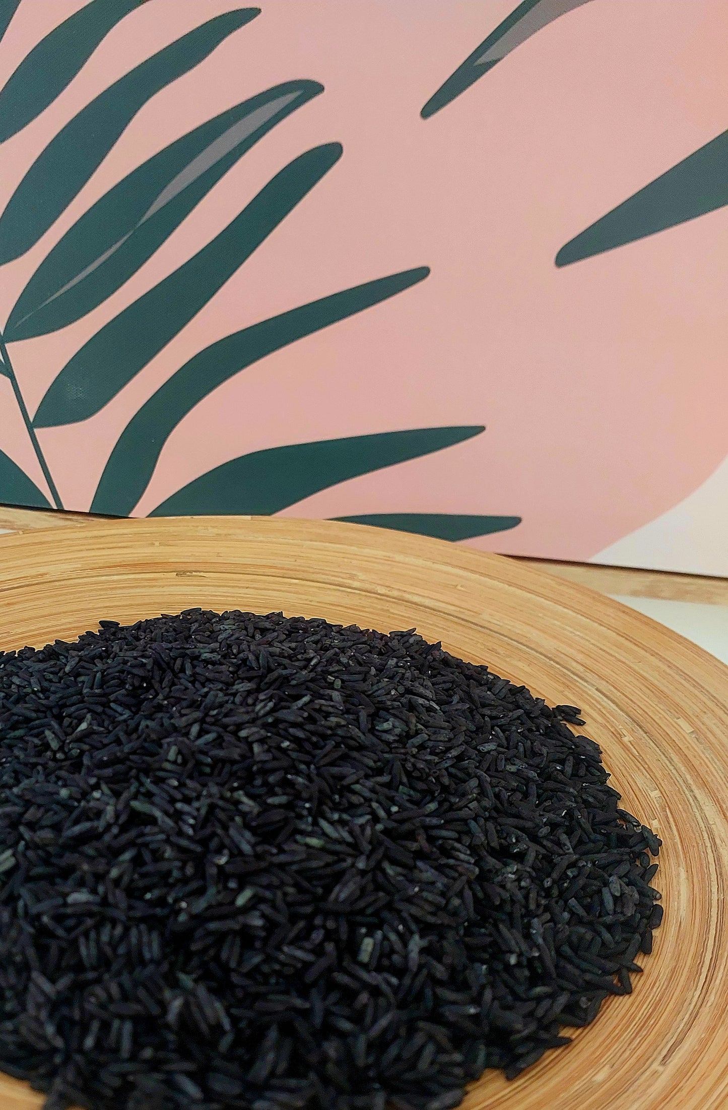 Sensory Base - Black