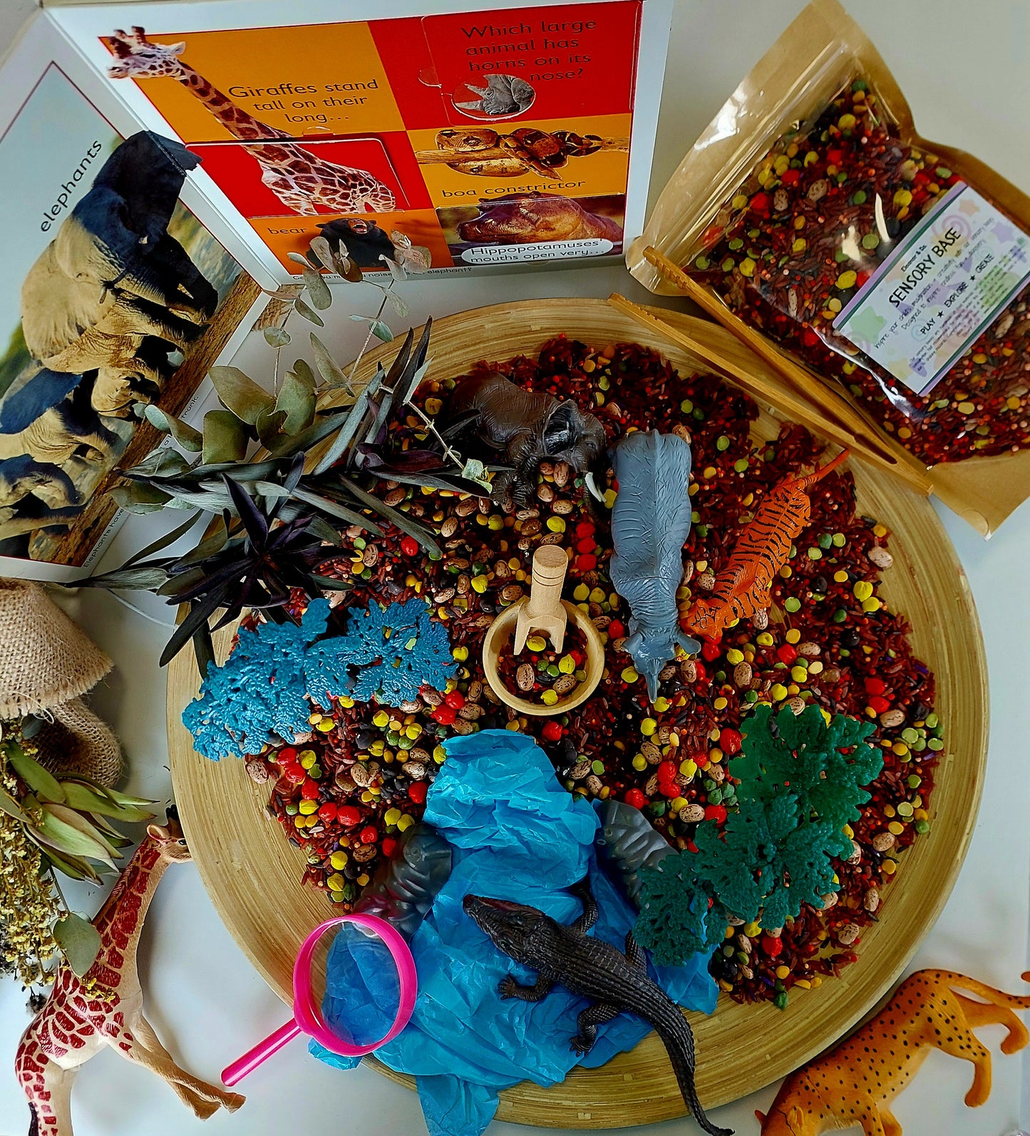 Sensory Base - Safari