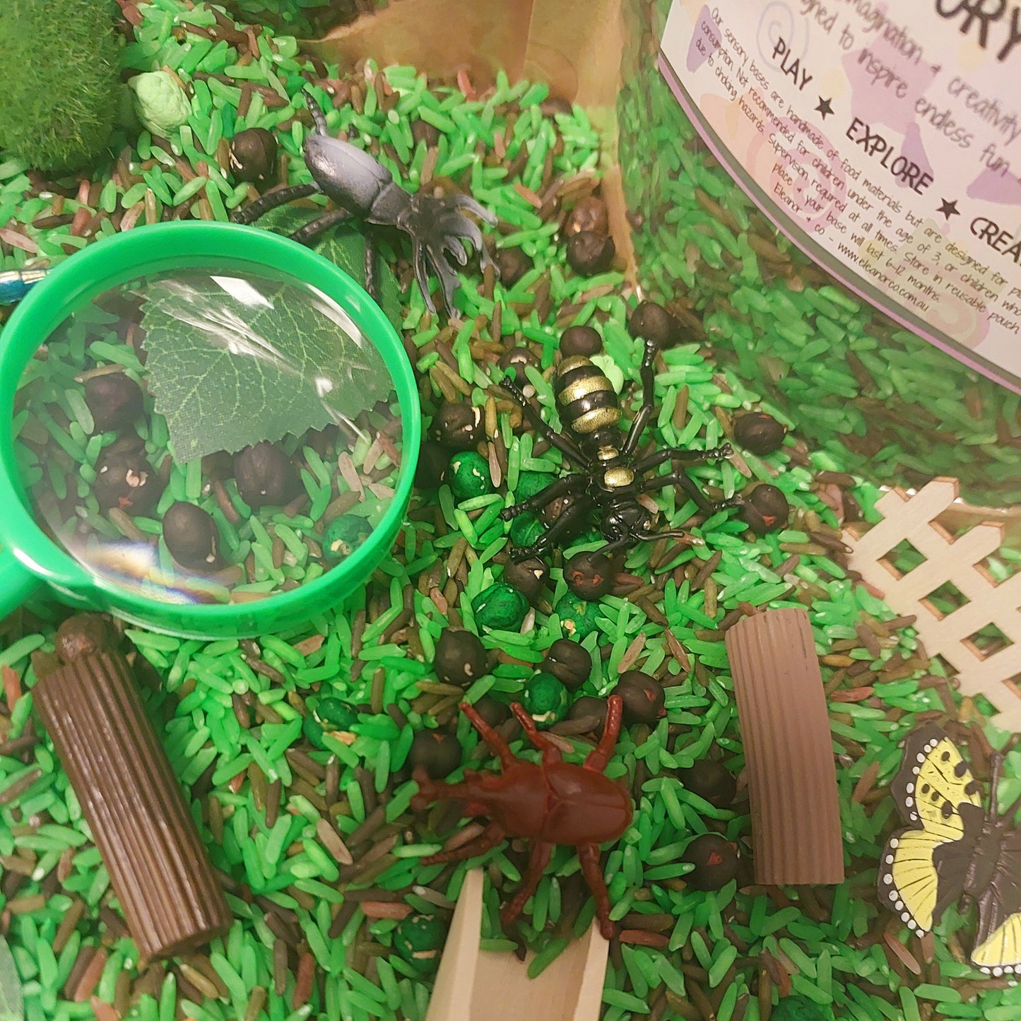 Pour & Explore Kit - Bugs & Insects