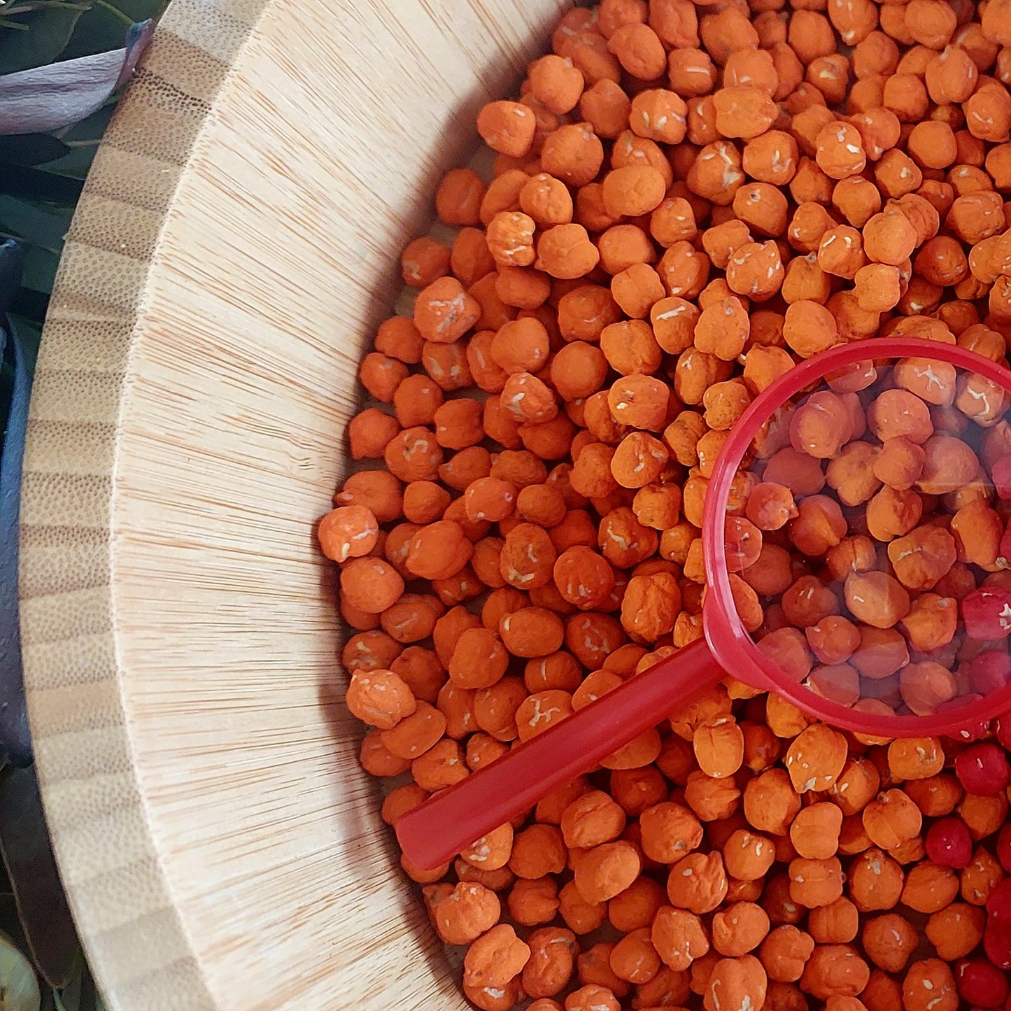 Sensory Base - Orange Chickpea