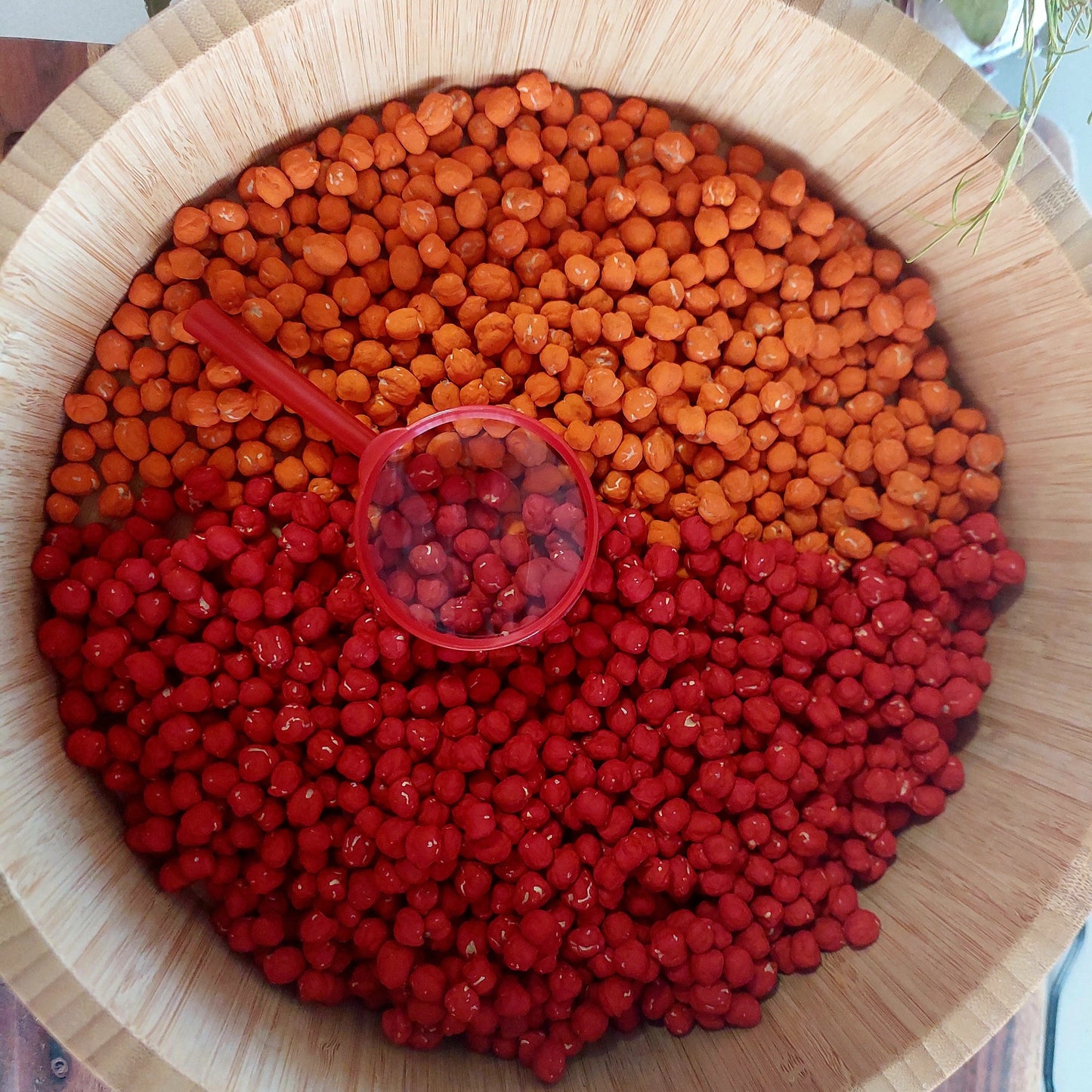 Sensory Base - Red Chickpea
