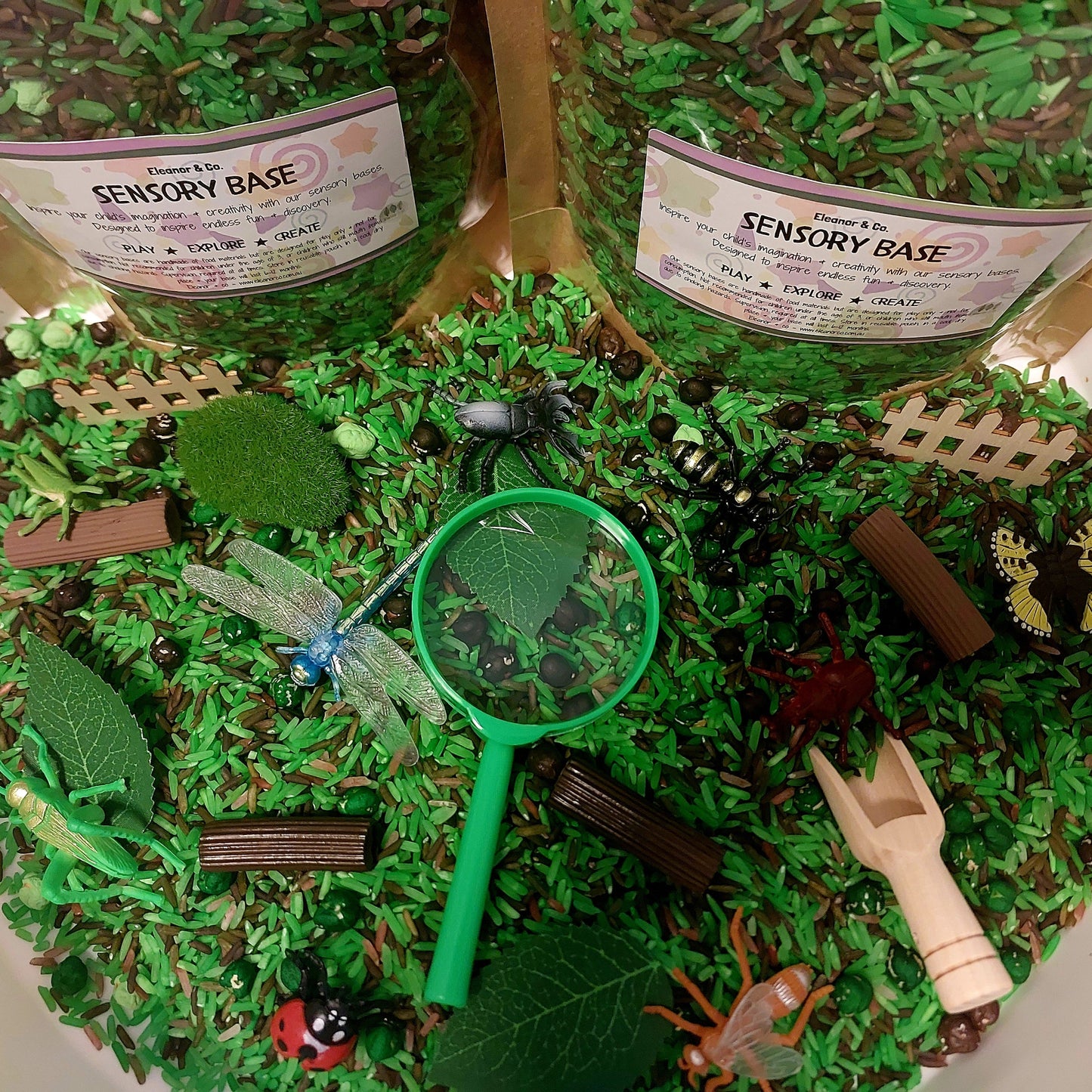 Pour & Explore Kit - Bugs & Insects