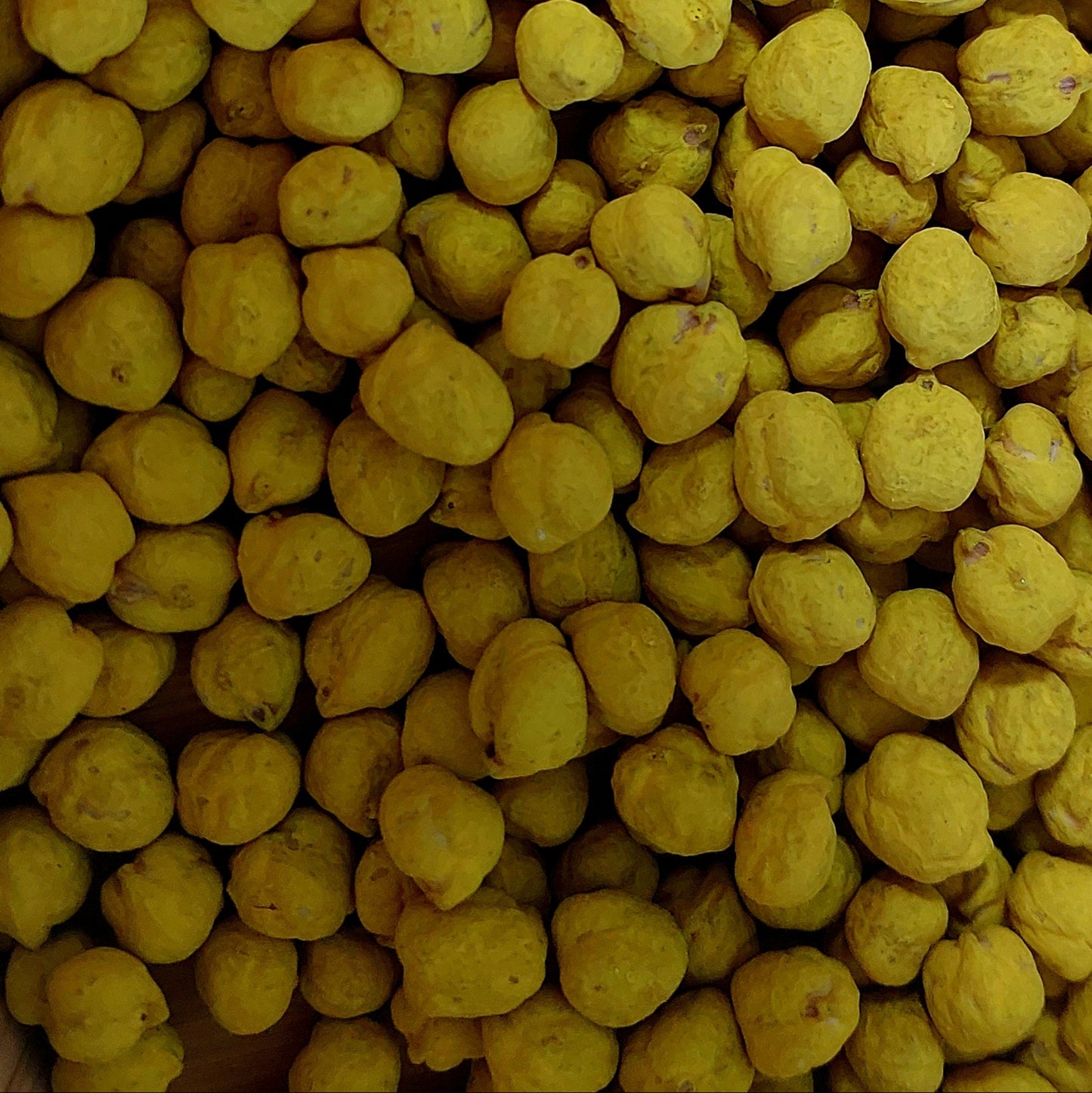 Sensory Base - Yellow Chickpea