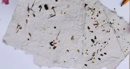 Plantable Seed Paper D.I.Y