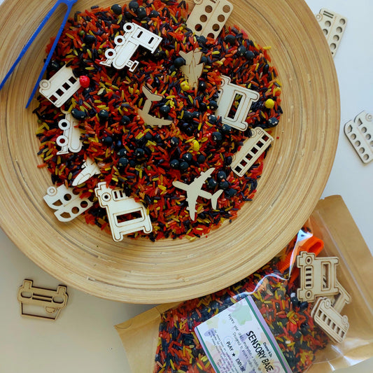 Transportation Find & Match Sensory Kit
