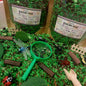 Pour & Explore Kit - Bugs & Insects