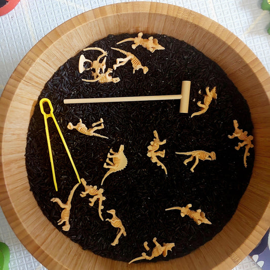 Pour & Explore Kit - Dino Skeleton Dig