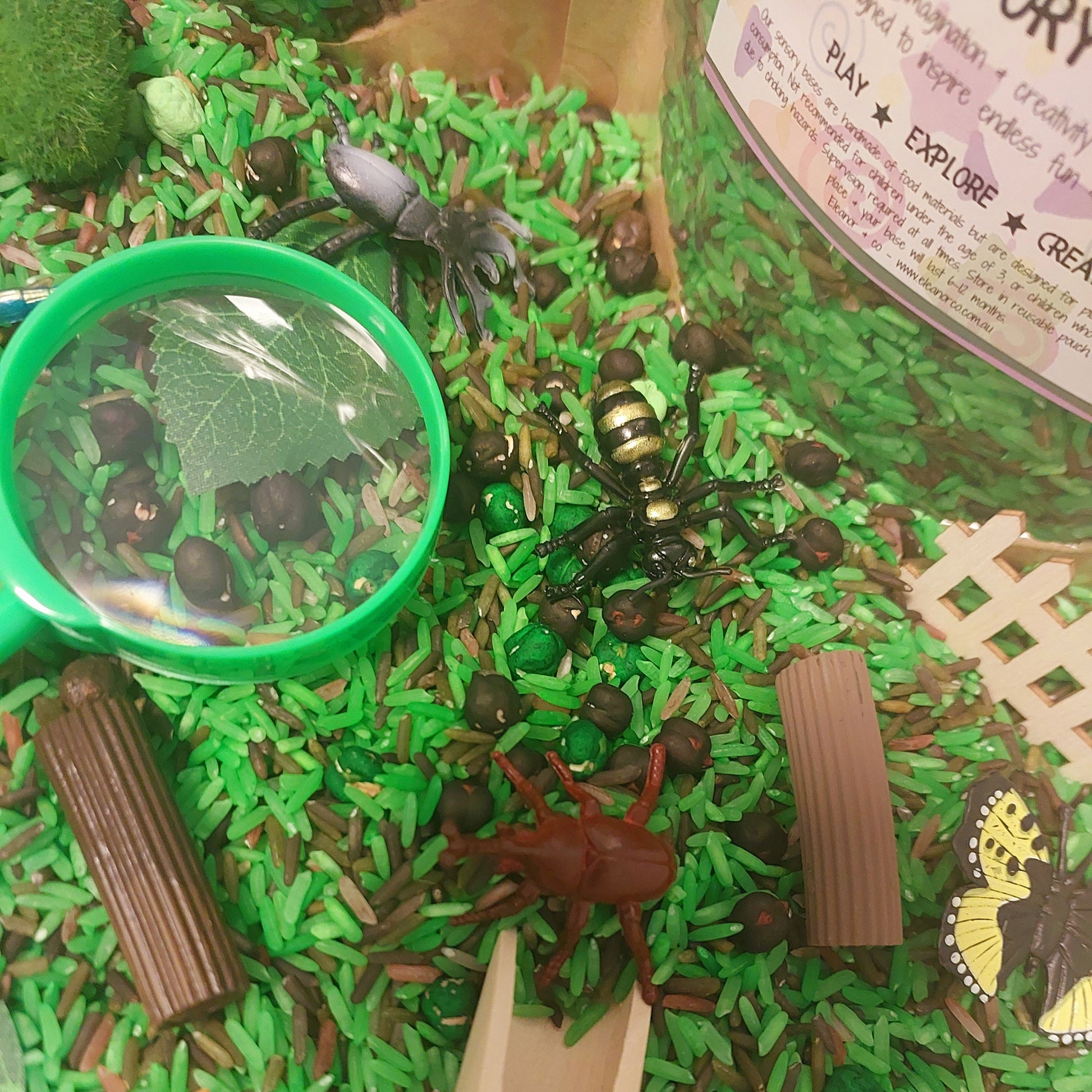 Pour & Explore Kit - Bugs & Insects