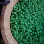 Sensory Base - Green Chickpea