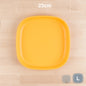 Re-Play Large Flat Plate